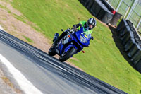 Oulton-Park-20th-March-2020;PJ-Motorsport-Photography-2020;anglesey;brands-hatch;cadwell-park;croft;donington-park;enduro-digital-images;event-digital-images;eventdigitalimages;mallory;no-limits;oulton-park;peter-wileman-photography;racing-digital-images;silverstone;snetterton;trackday-digital-images;trackday-photos;vmcc-banbury-run;welsh-2-day-enduro